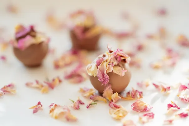 Casino Vegas Spins App Android/iOS